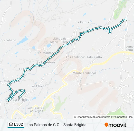 L302 Bus Line Map