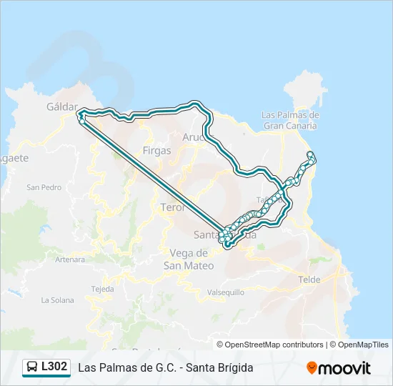 L302 Bus Line Map