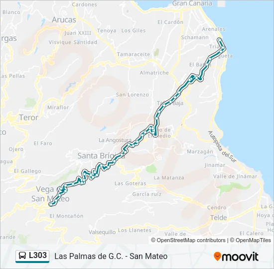 L303 Bus Line Map
