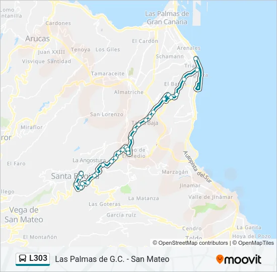 L303 Bus Line Map