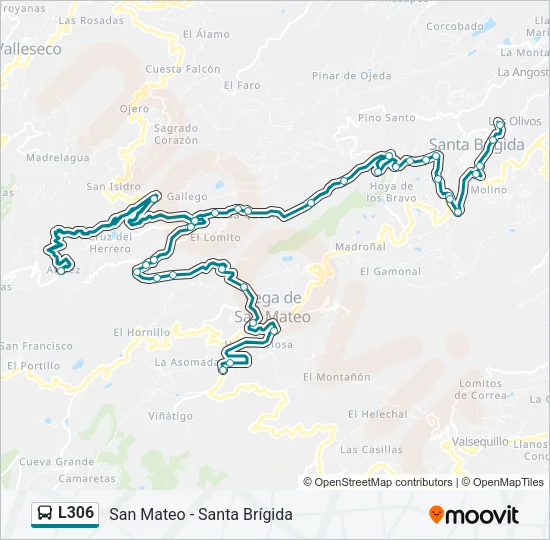 L306 Bus Line Map