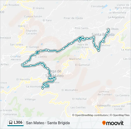 L306 Bus Line Map