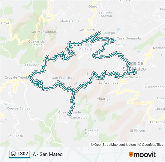 L307 Bus Line Map
