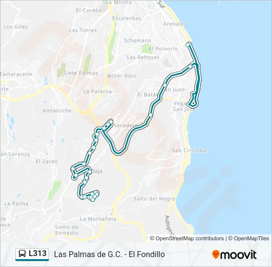 L313 Bus Line Map