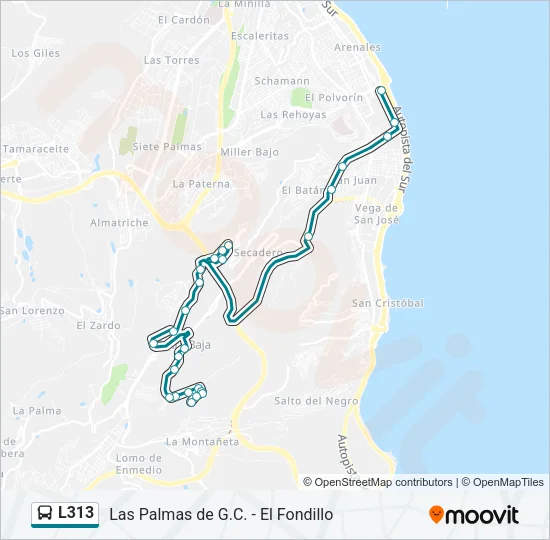 L313 Bus Line Map