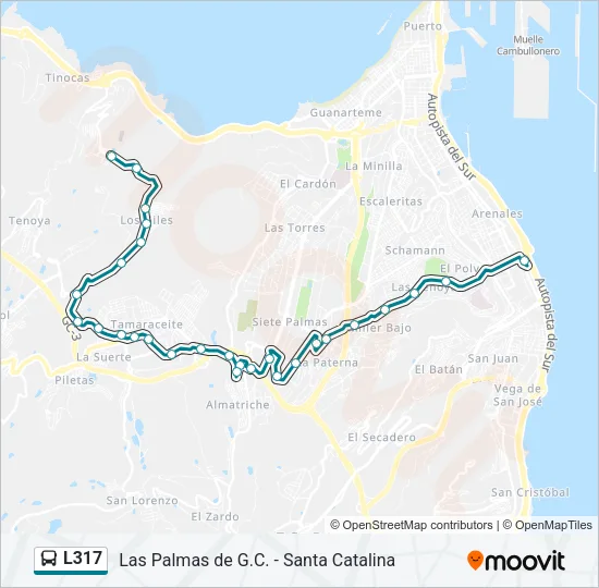 L317 Bus Line Map
