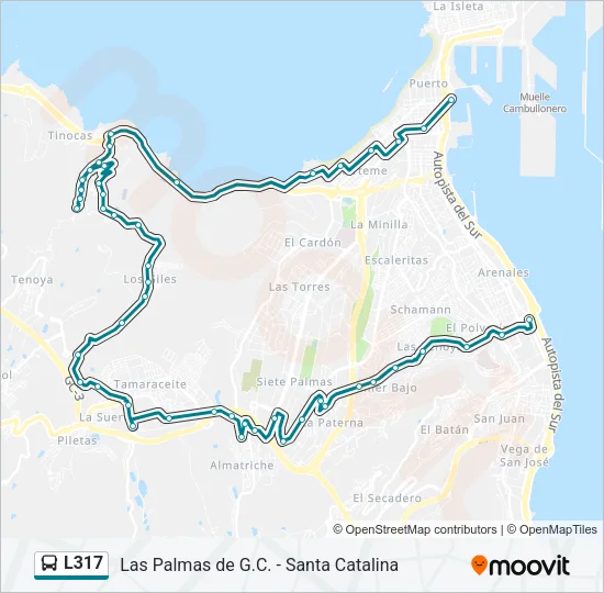L317 Bus Line Map