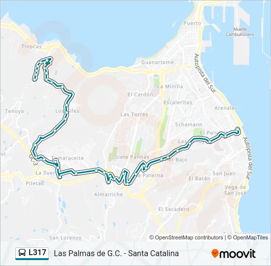 L317 Bus Line Map
