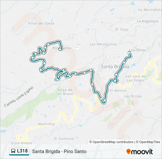 L318 Bus Line Map
