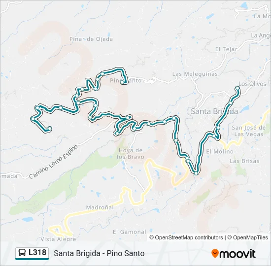 L318 Bus Line Map