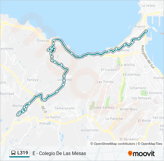 L319 Bus Line Map