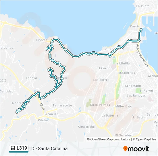 L319 Bus Line Map
