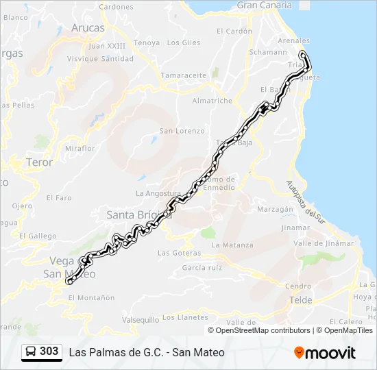 303 Bus Line Map
