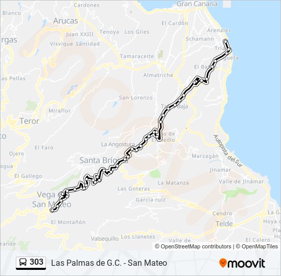 303 bus Mapa de línia