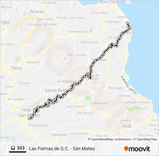 303 Bus Line Map