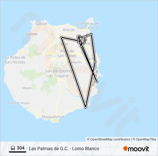 304 Bus Line Map