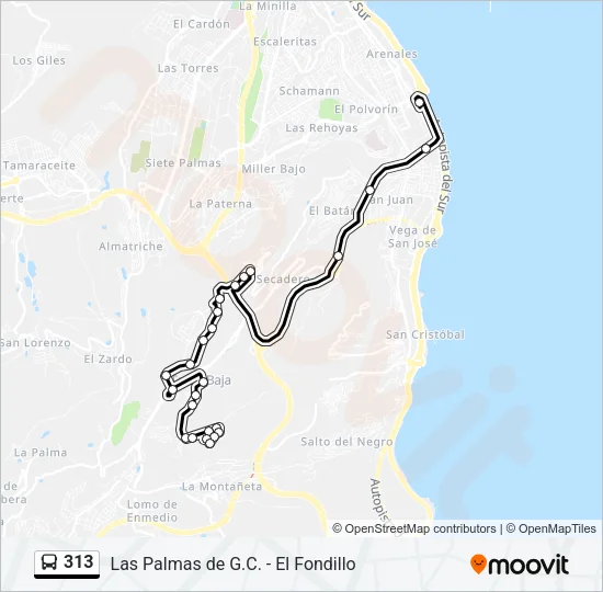 313 Bus Line Map