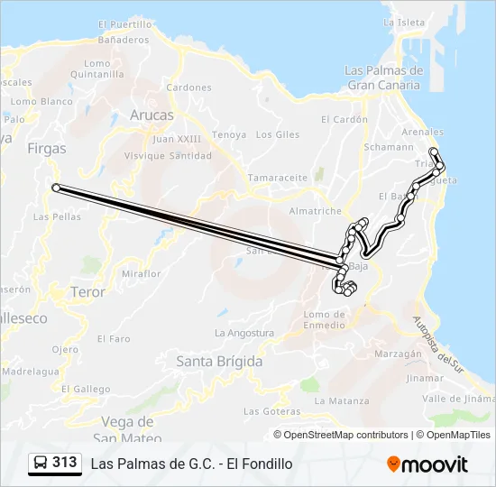 313 Bus Line Map