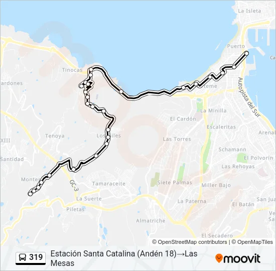 319 Bus Line Map