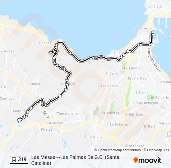 319 Bus Line Map
