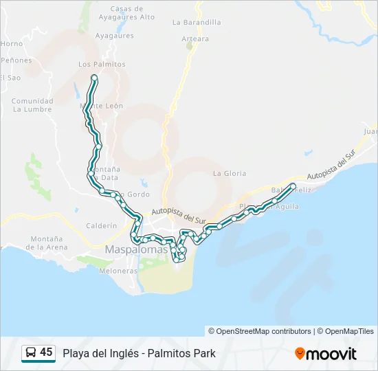45 Bus Line Map