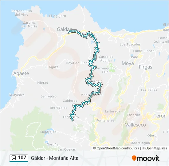 107 Bus Line Map