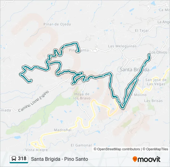 318 Bus Line Map