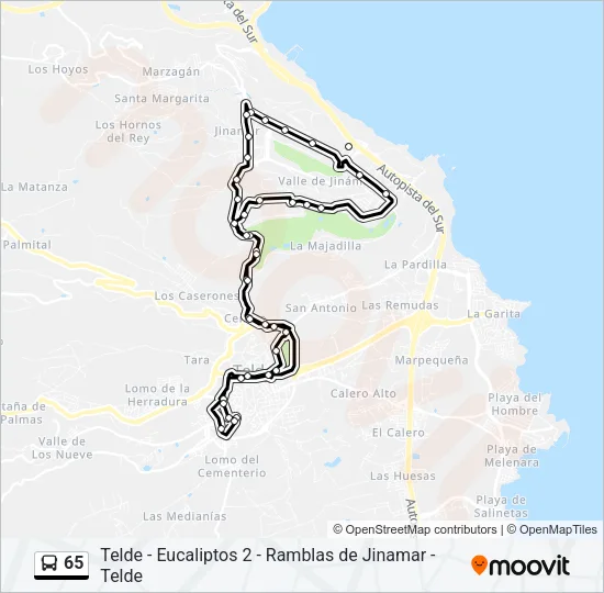 65 Bus Line Map