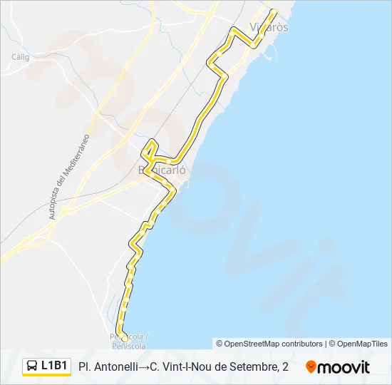 L1B1  Line Map