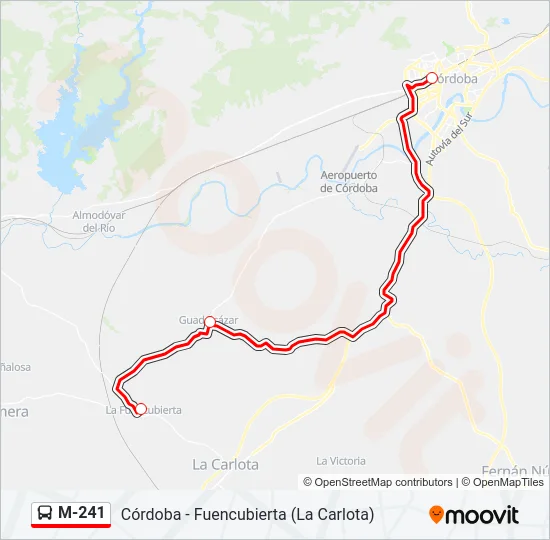 M-241 Bus Line Map