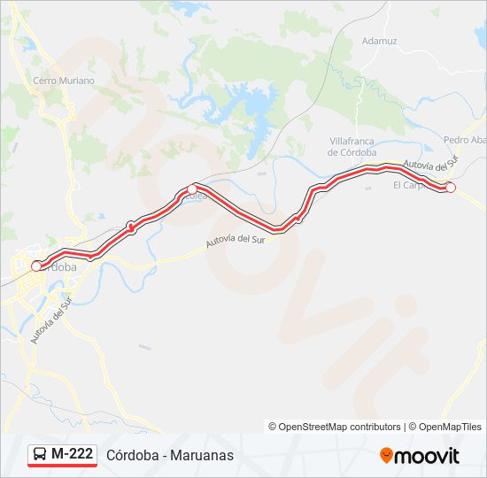 M-222 bus Line Map