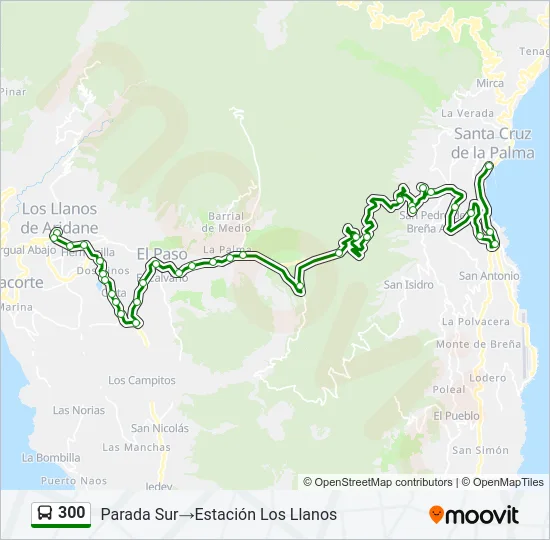 300 Bus Line Map