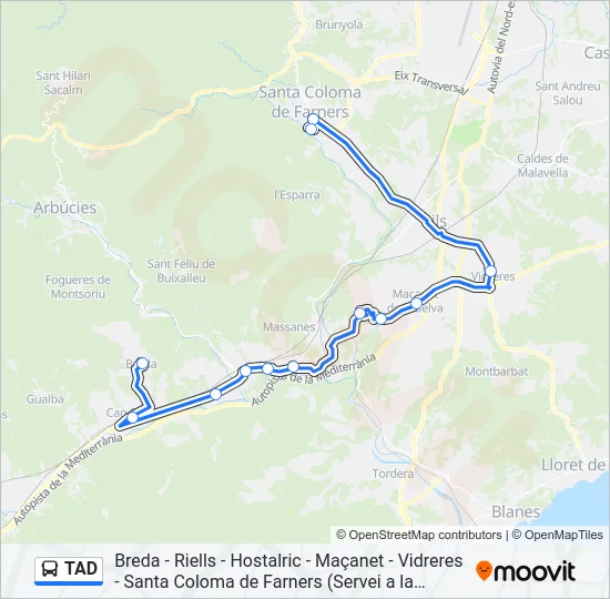TAD Bus Line Map
