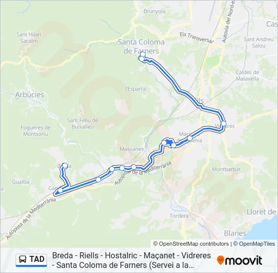 TAD Bus Line Map
