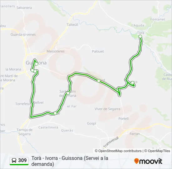 309 Bus Line Map