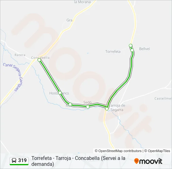 319 Bus Line Map