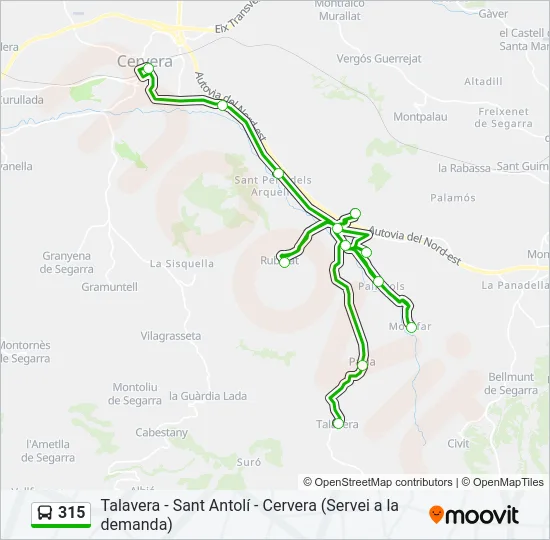 315 Bus Line Map