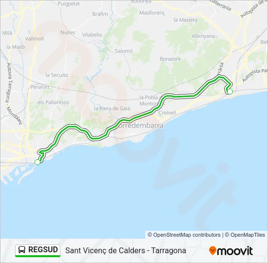 REGSUD Bus Line Map