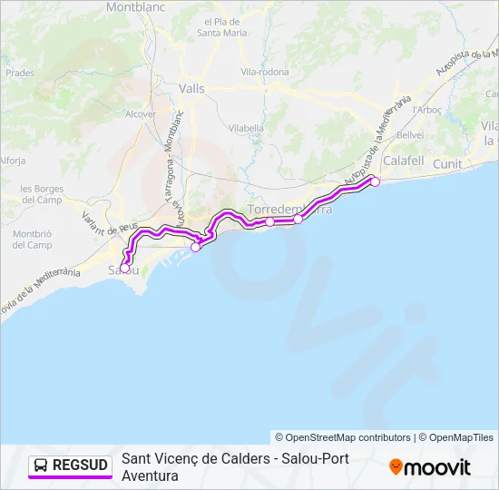 REGSUD Bus Line Map