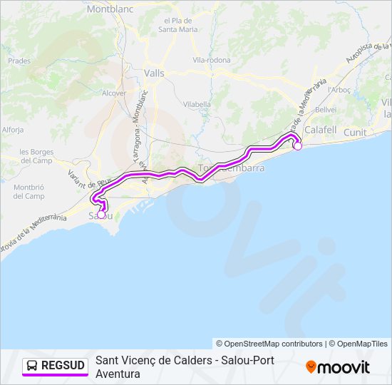 REGSUD Bus Line Map