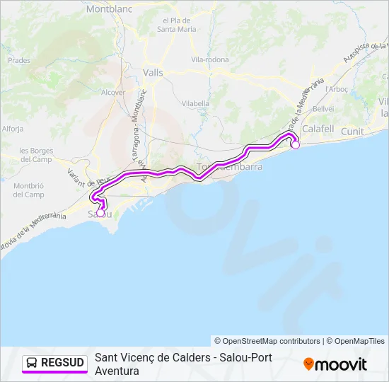 REGSUD Bus Line Map