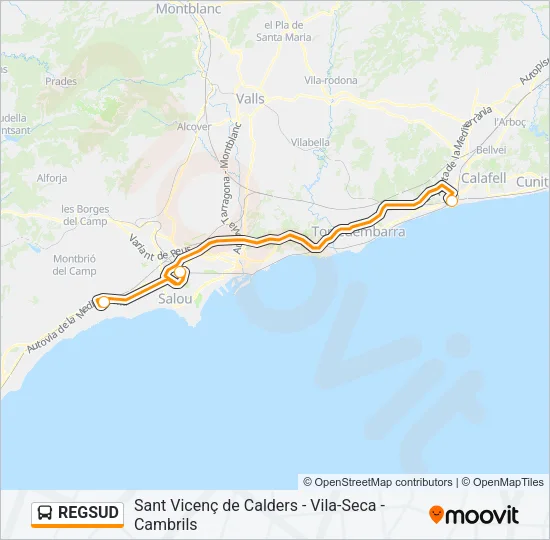 REGSUD Bus Line Map