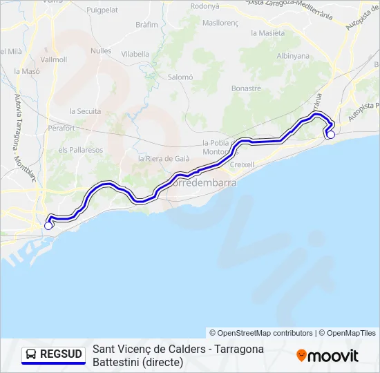 REGSUD Bus Line Map