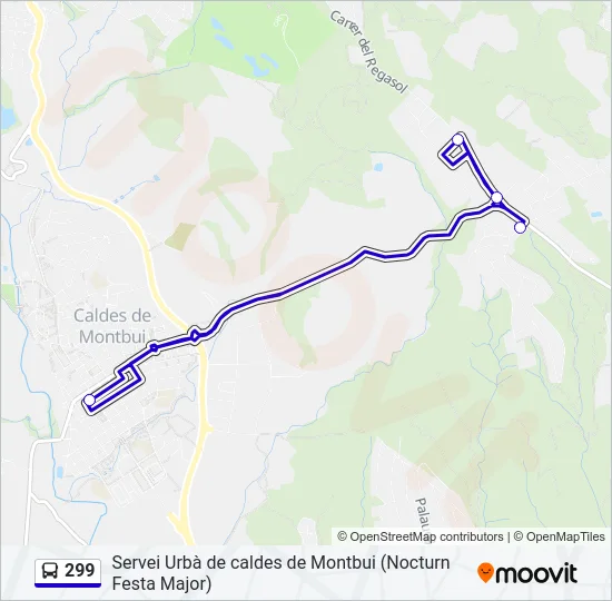299 Bus Line Map