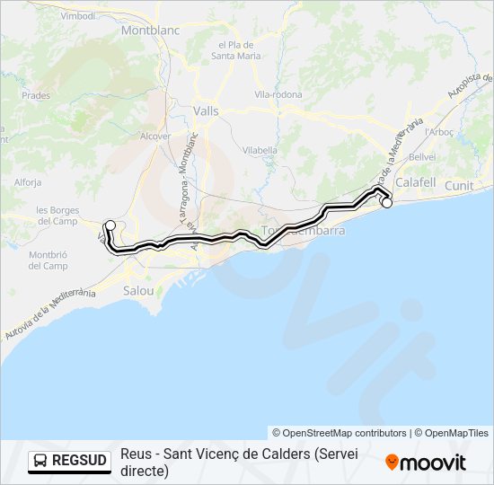 REGSUD Bus Line Map