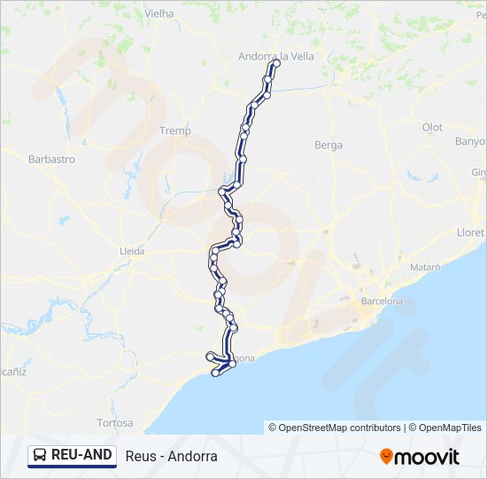 REU-AND Bus Line Map