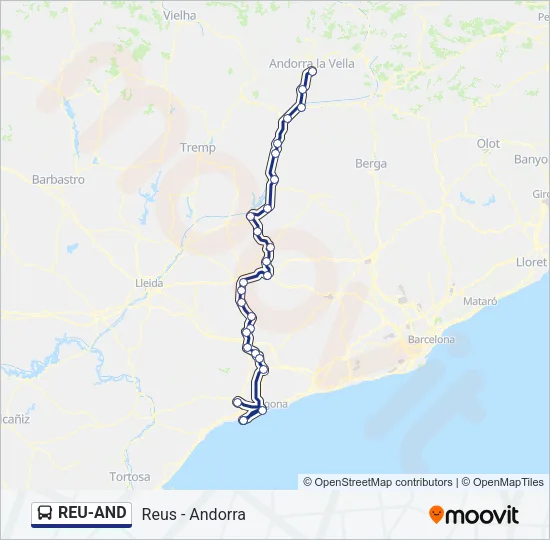 REU-AND Bus Line Map