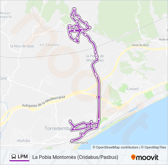 LPM Bus Line Map