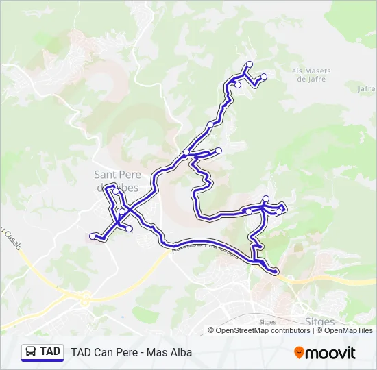 TAD Bus Line Map