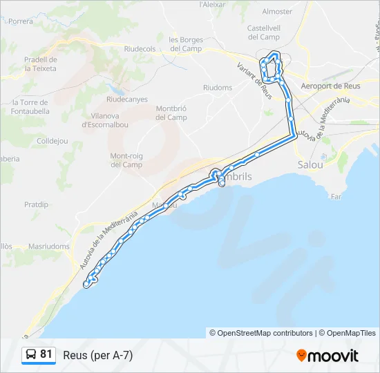 81 Bus Line Map